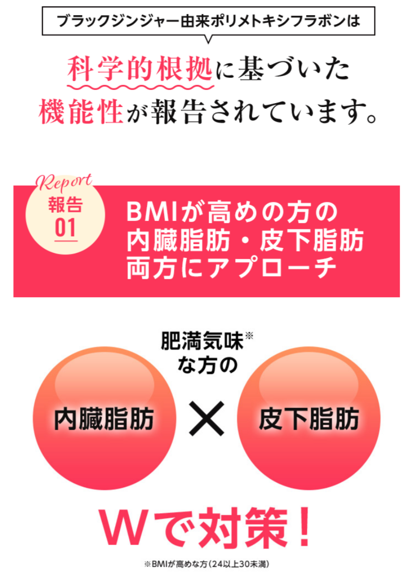 BMIが高めの方の内臓脂肪・皮下脂肪両方にアプローチ