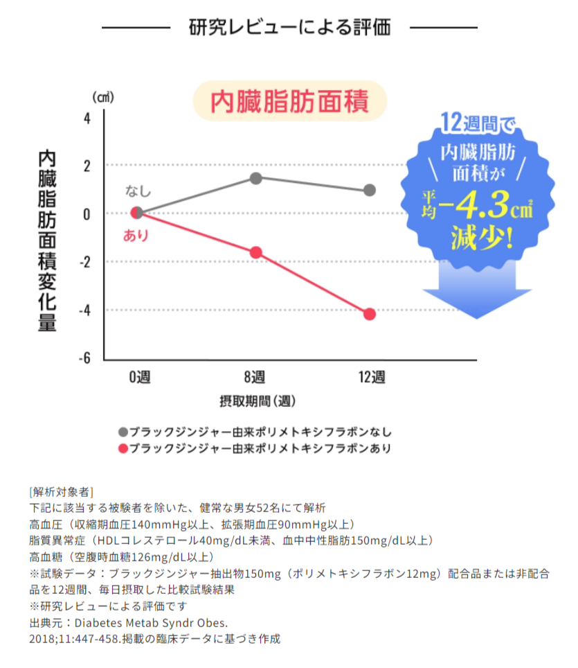 研究レビューによる評価