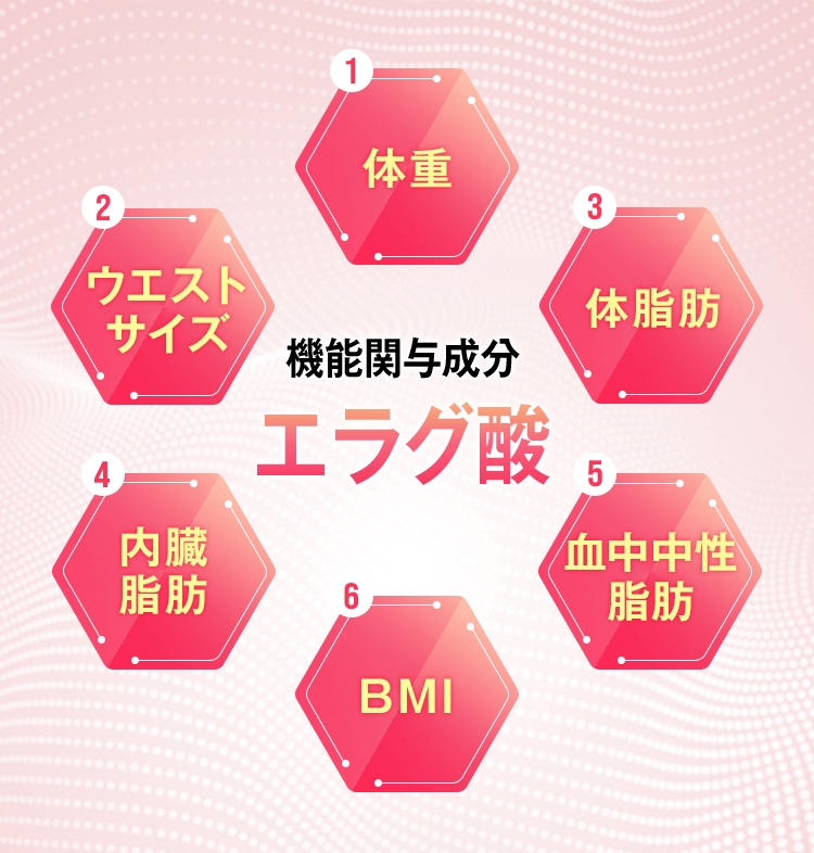 機能関与成分エラグ酸 体重 ウエストサイズ 体脂肪 内臓脂肪 血中中性脂肪 BMI