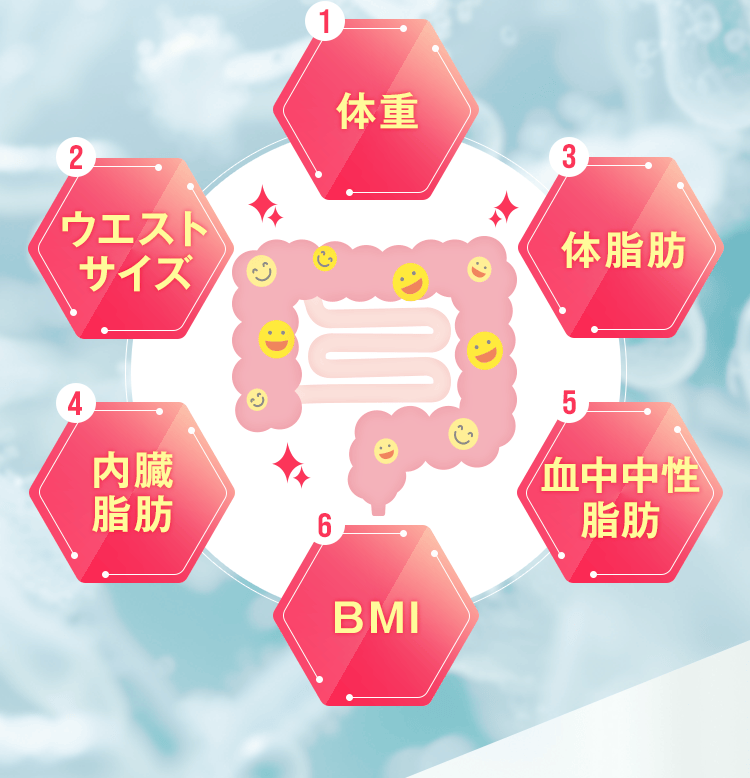 「内臓脂肪」「体重」「血中中性脂肪」「ウエストサイズ」「体脂肪」「BMI」