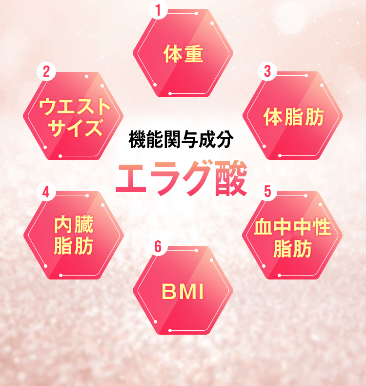 機能関与成分エラグ酸 体重 ウエストサイズ 体脂肪 内臓脂肪 血中中性脂肪 BMI